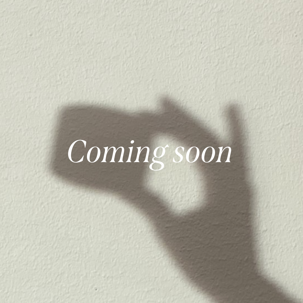 New product loading...